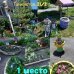 
1 место
